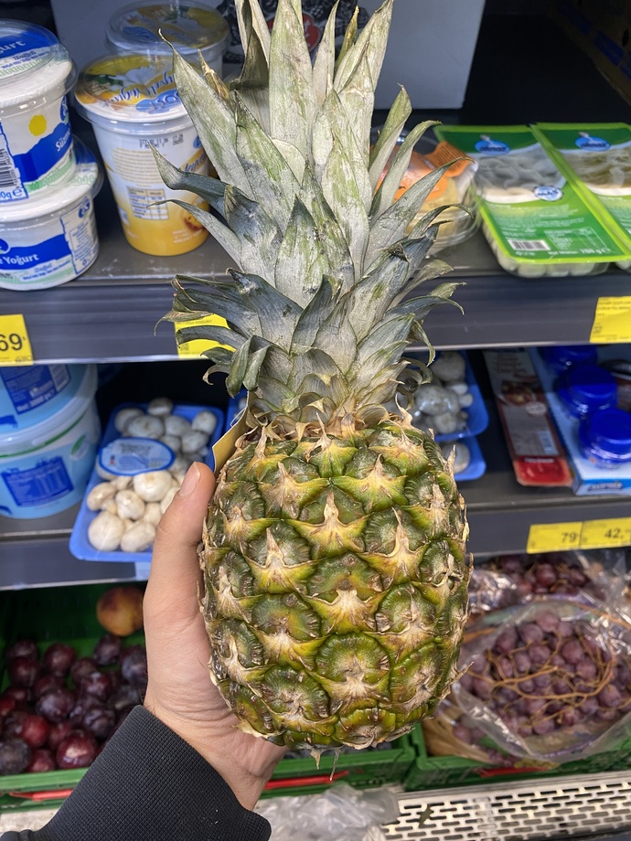 Kırmızı elma mı yeşil elma mı? hangisini daha çok tüketiyorsunuz?