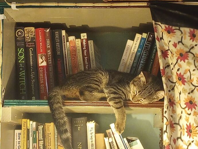 Hayatınız bir kitap olsaydı, şu anki bölümün adı ne olurdu?
