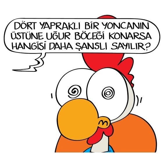 Dört yapraklı yoncanın üstüne uğur böceği konarsa hangisi daha şanslı sayılır?