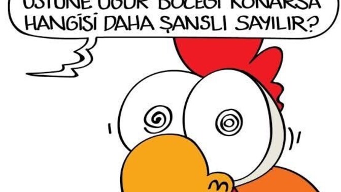 Dört yapraklı yoncanın üstüne uğur böceği konarsa hangisi daha şanslı sayılır?