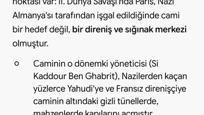 Tarih araştırmayı sever misiniz?
