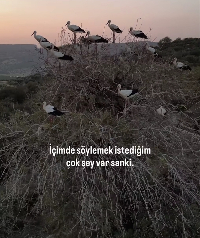 Açık açık dile mi getirirsiniz içinize mi atarsınız?