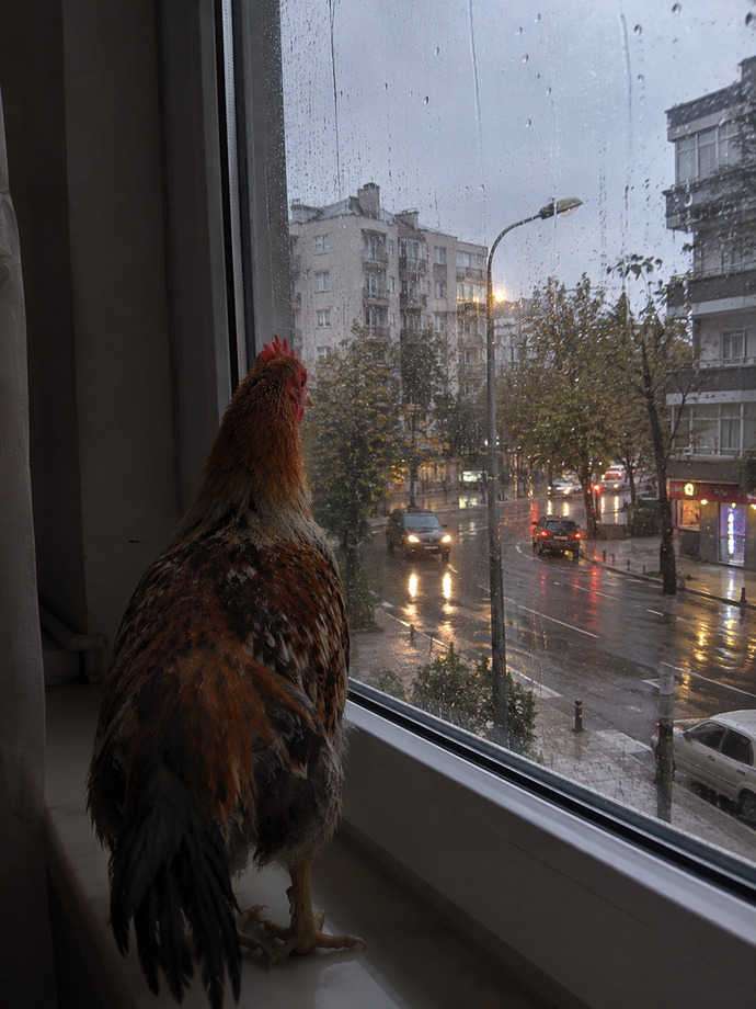 Yağmurlu havaları gerçekten sever misiniz?
