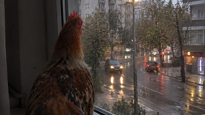 Yağmurlu havaları gerçekten sever misiniz?