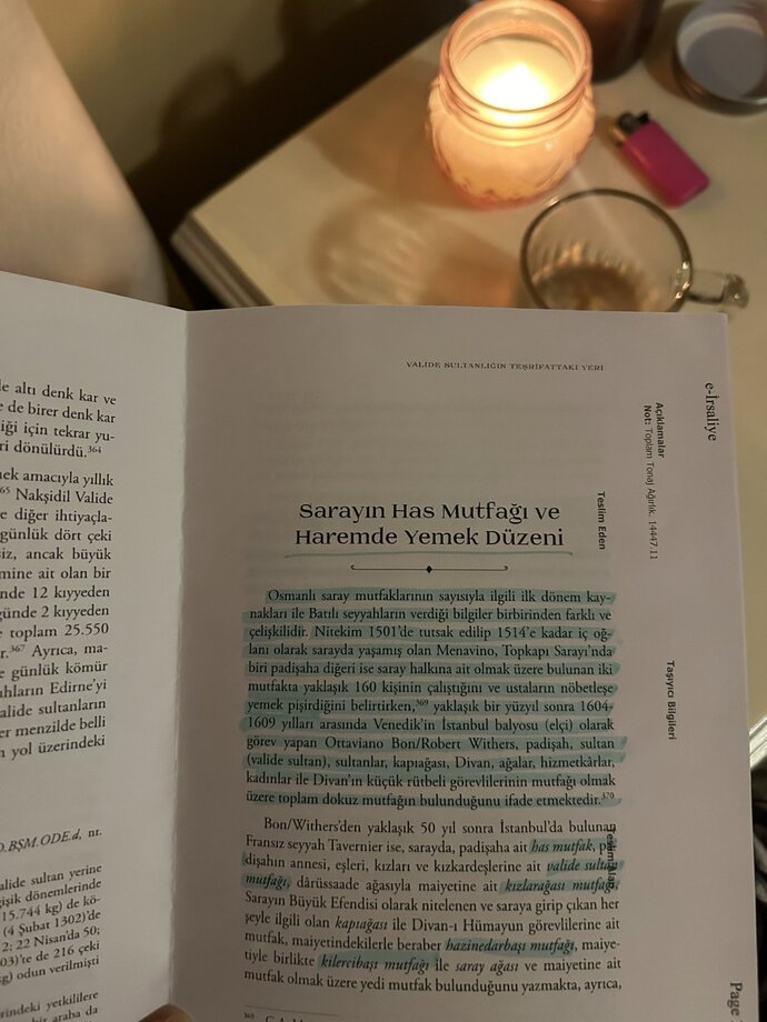Pilavı iyi pisirebilen her yemegi iyi yapabilir derlerdi de inanmazdım. Sen pilav pisirebiliyor musun?