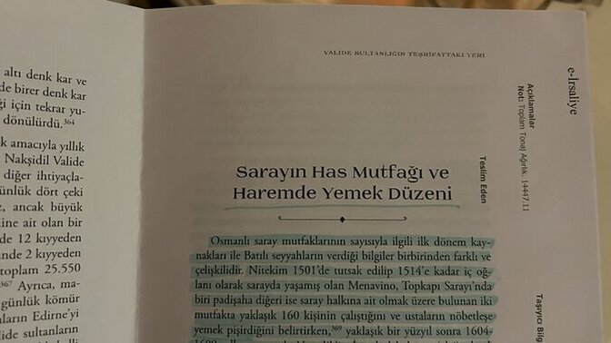 Pilavı iyi pisirebilen her yemegi iyi yapabilir derlerdi de inanmazdım. Sen pilav pisirebiliyor musun?