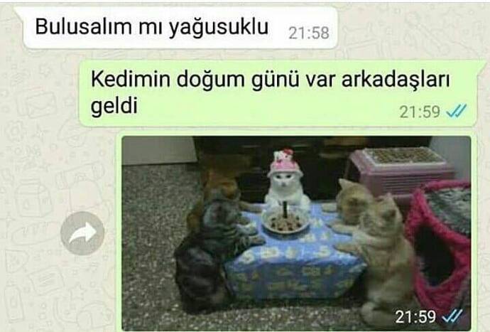 Biriyle buluşmamak için söylediğiniz en absurt yalan neydi?