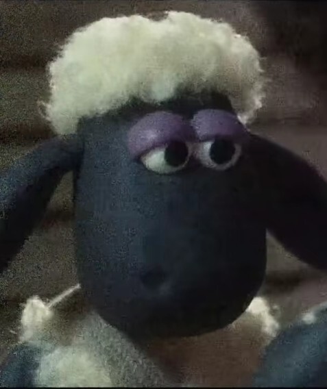 Hayatınızda hiç beceremediğiniz şey nedir?