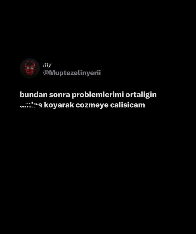 Problemlerinizi nasıl çözüyorsunuz?