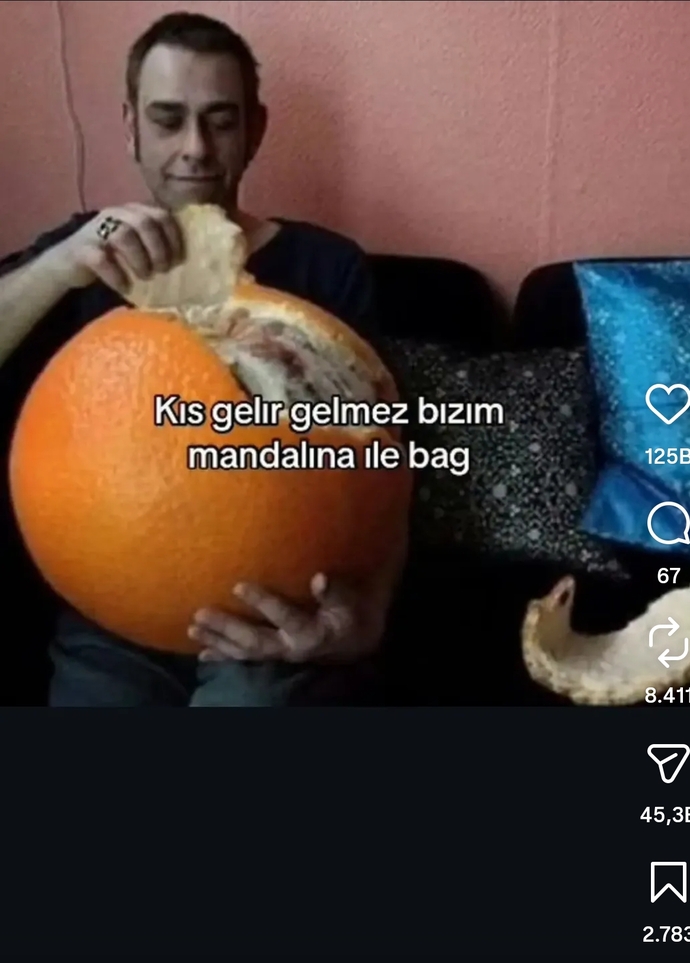 Mandalina mı portakal mı?