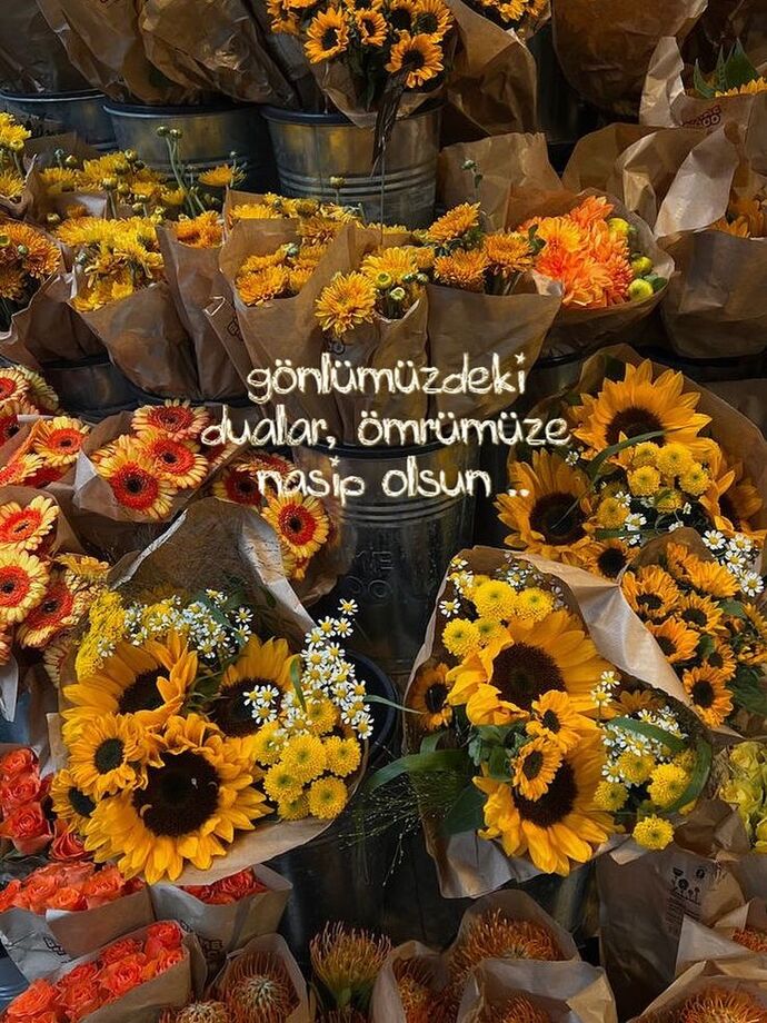 Her bahar bir çiçekle başlar 🌼