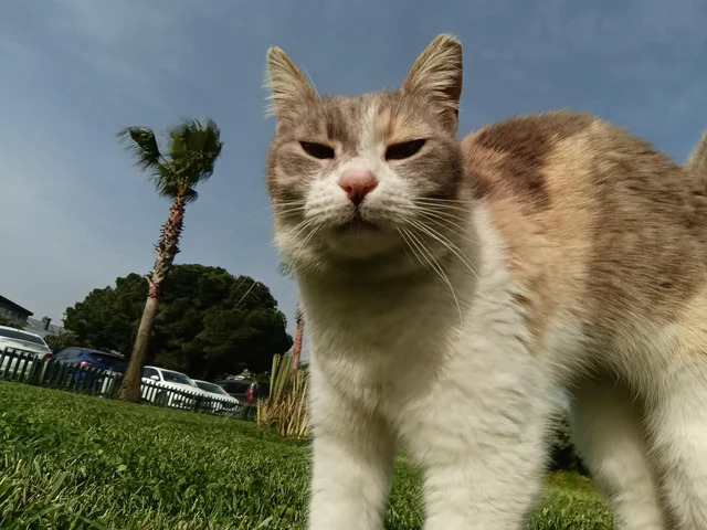 Tersinden kalkmışlara denk gelince ne yapıyorsunuz?