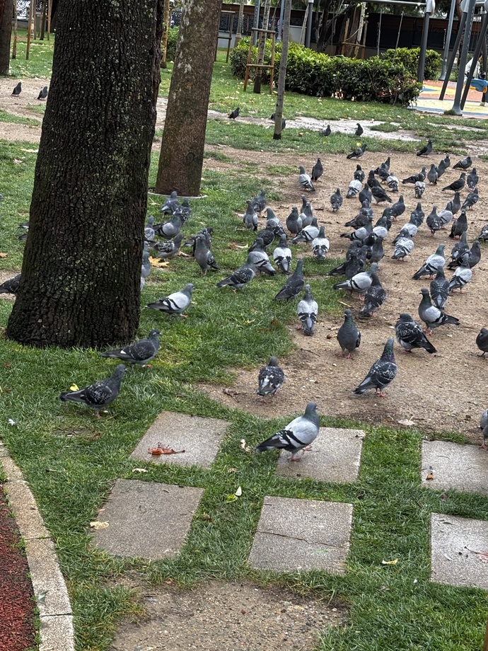 Beşiktaş’ın maçı var bugün 🦅💋