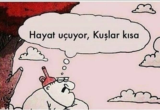 Bu Greek müziklerinde, insanı dinledikçe uzaklara götüren ne var?