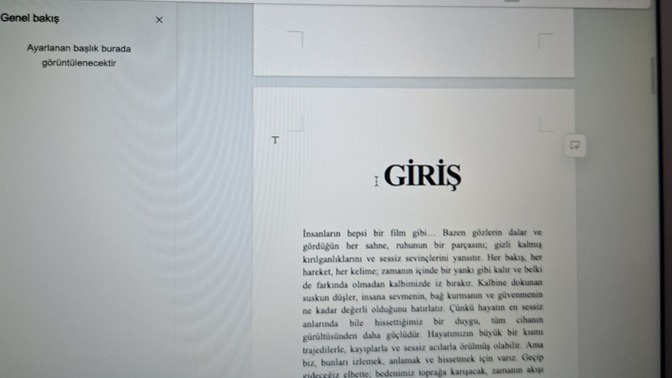 Kitap yazıyorum?