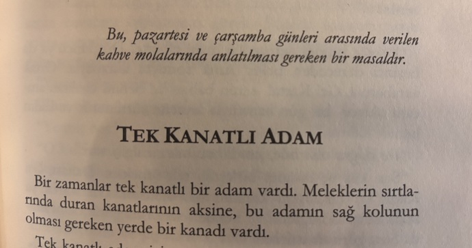 Kulak değil kanat bu he
