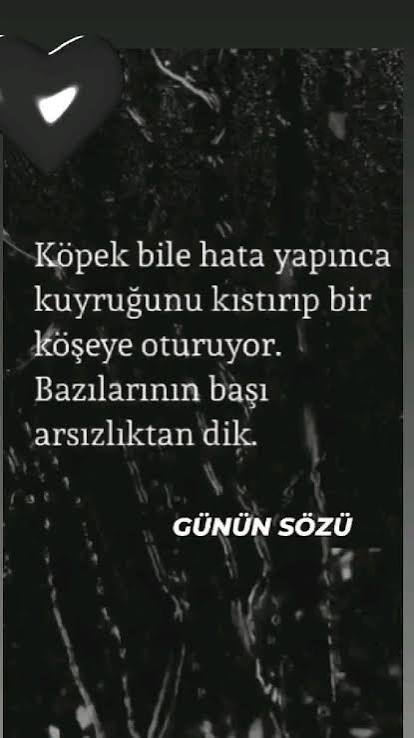 Hayatınızda arsızlığı arşa çıkan insan tanıdınız mı?