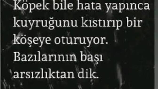 Hayatınızda arsızlığı arşa çıkan insan tanıdınız mı?