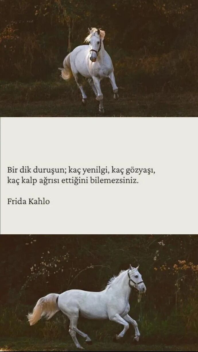 Bu hayatta dik durmak size neler kaybettirdi, neler kazandırdı?