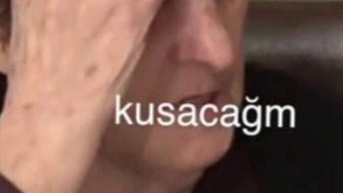 Nelerden tiksiniyorsun?