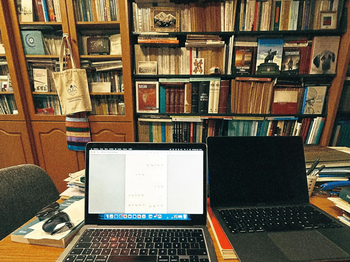 the romanticized historian.