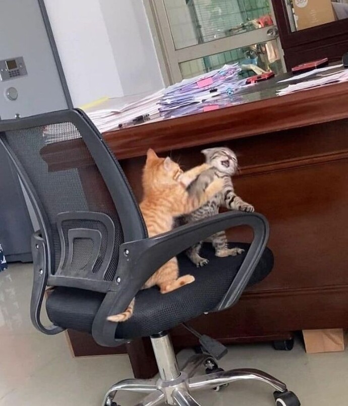 Kavga etmeyi sevdiğiniz biri oldu mu?
