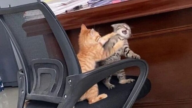 Kavga etmeyi sevdiğiniz biri oldu mu?