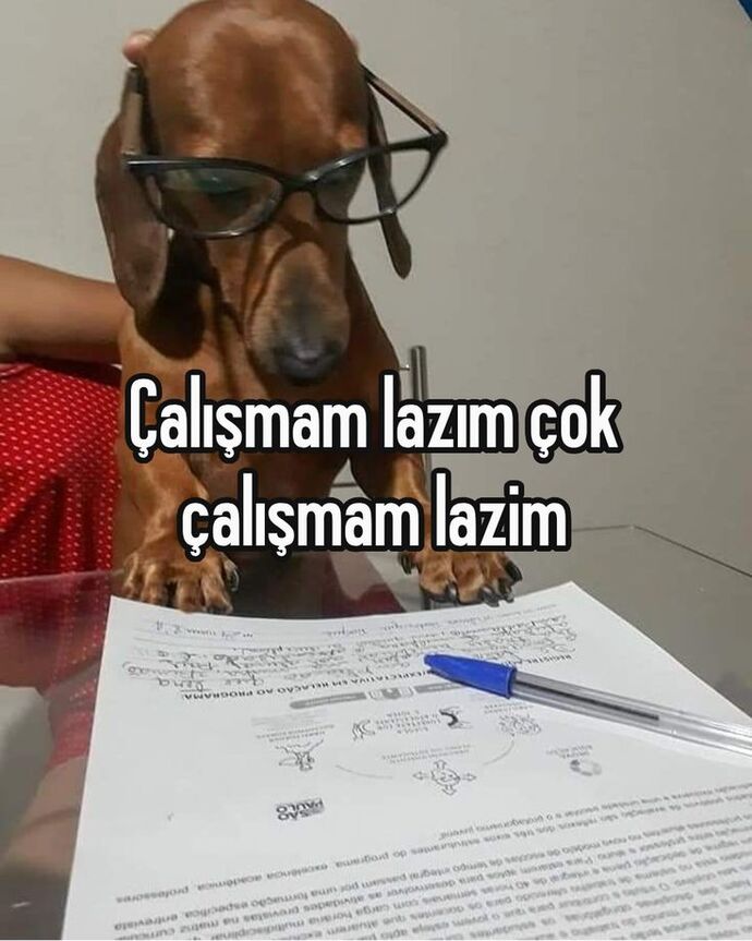 Siz de yapmanız gereken işleri son ana kadar erteliyor musunuz?