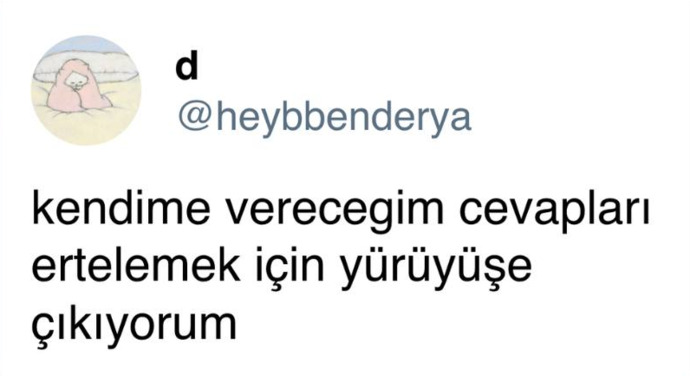 Yürüyüş yapmayı seviyor musunuz?