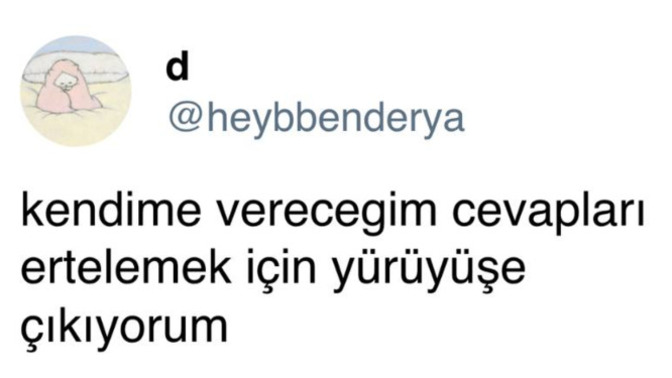 Yürüyüş yapmayı seviyor musunuz?