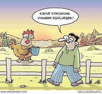 #Kedikahvesi