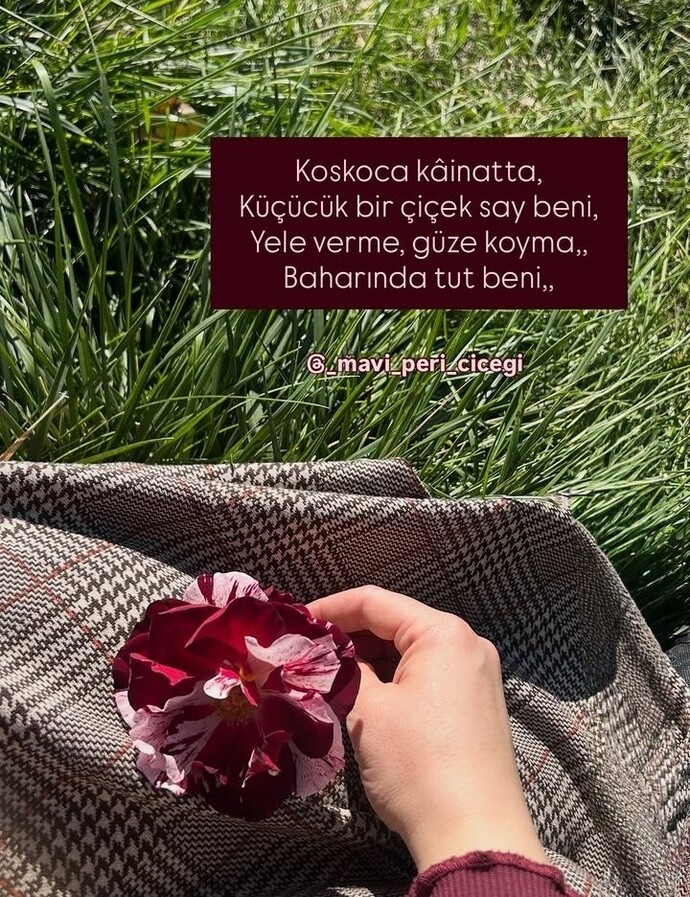 Günaydınnn 🥰💞 bugün hiç kalkasim yok sizde durumlar nasıl?