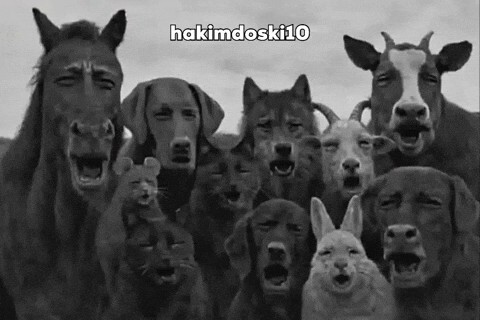 Kocamla tartıştık haklı değil miyim?