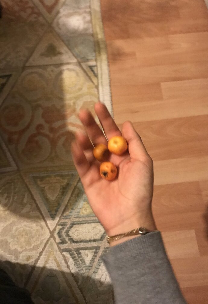 İstemeden iş yapmaya sürüklendiniz mi?