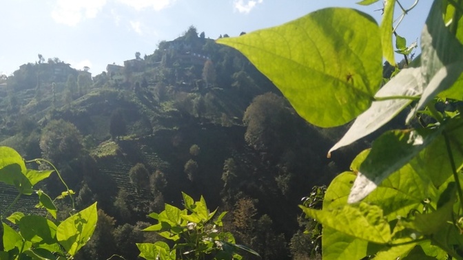 Şehir konforu mu? Köyde huzur mu?