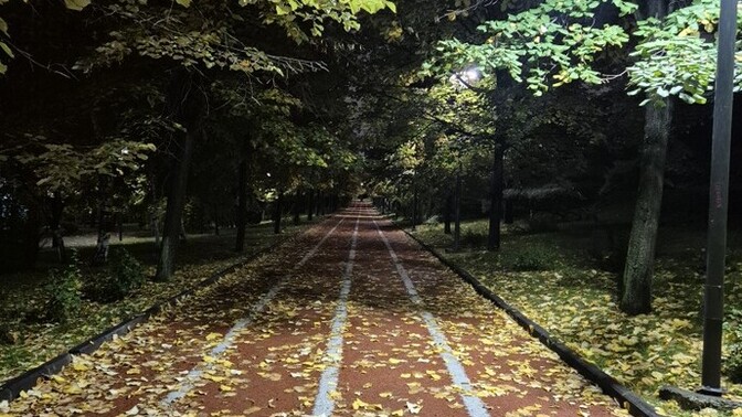 Akşam yağmurunda müzik eşliğinde temiz hava yürüyüşüne kimler eşlik eder?