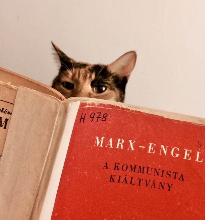 Kitap okumak size ne kazandırdı ve ne kaybettirdi?