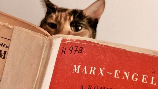 Kitap okumak size ne kazandırdı ve ne kaybettirdi?