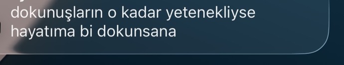 Hoşlandığım çocuğa fake hesaptan yazmıştım hayatında biri var mı felan die yoksa yalnız mısın die o da dedi ki çok büyük bir yalnı?