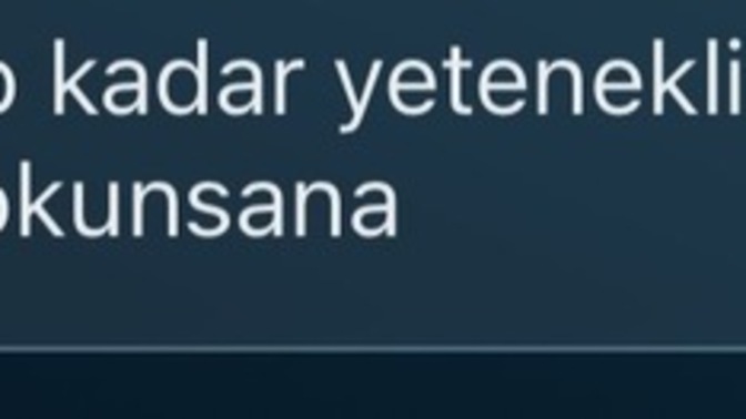 Hoşlandığım çocuğa fake hesaptan yazmıştım hayatında biri var mı felan die yoksa yalnız mısın die o da dedi ki çok büyük bir yalnı?