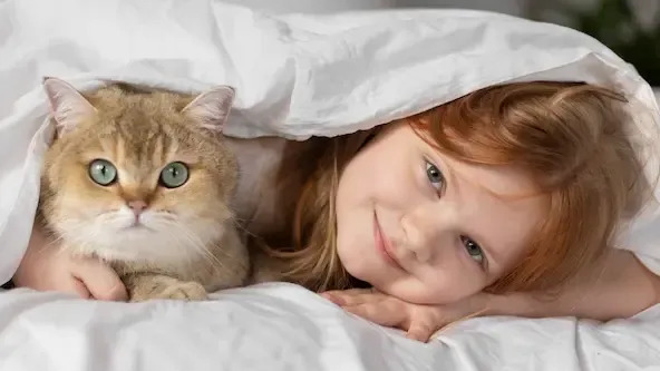 Bakımevi: Evde kedi bakanlar derneği miyavvvvvv