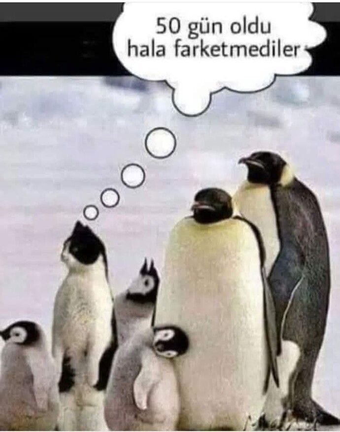 Sizce ne kadar fark edilmez birisiniz?