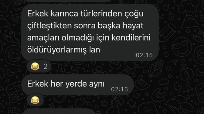 Son zamanlarda öğrendiğin ilginç bir bilgiyi paylas?