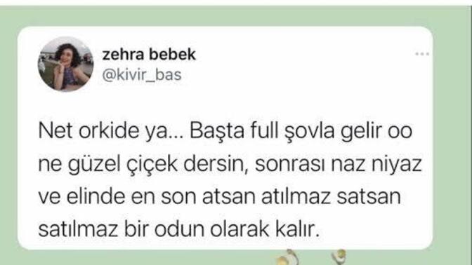 Erkekler bir çiçek olsaydı, hangisi olurdu?