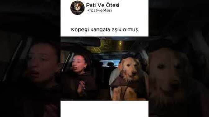 Hiç yanlış birine aşık oldunuz mu?