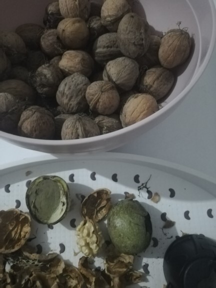 Yaş ceviz sever misiniz?