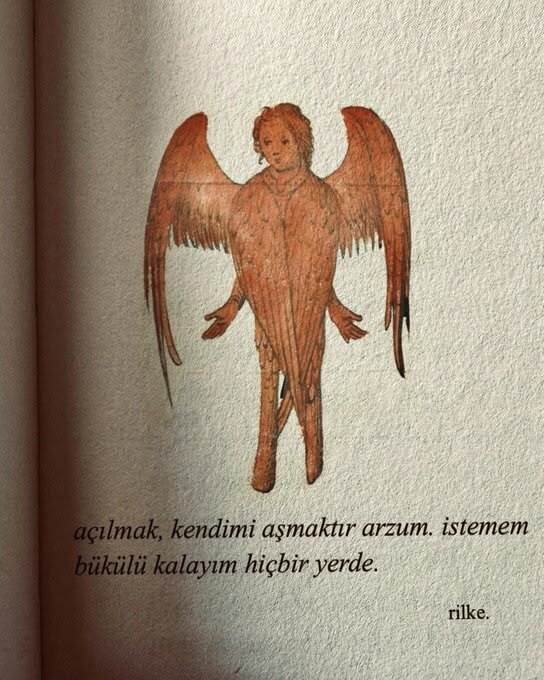 Bilinç, bir lütuf mu bir lanet mi?