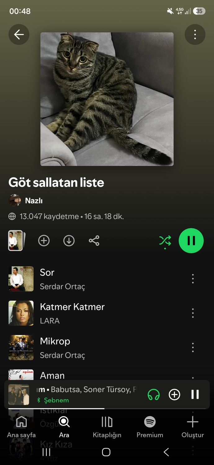 Bu gece hangi şarkıyı dinliyorsunuz?