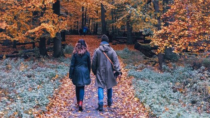 Sonbaharda ormanda tatil yapma şansın olsaydı, yanında kimi götürürdün ve neden?