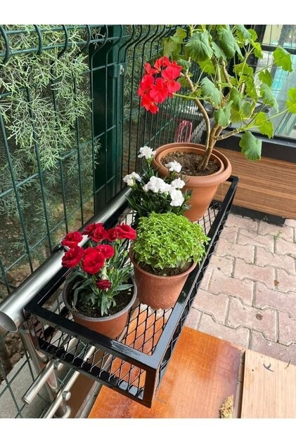 Tatildeyken evcil hayvanını ya da  çiçeklerini emanet edeceğiniz bir yer var mı?